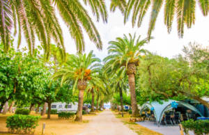 camping en tarragona Playa Montroig