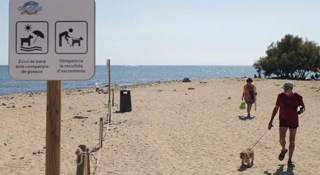 playa canina tarragona